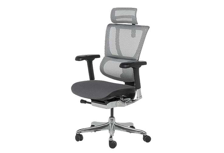 Ергономичен стол ERGOHUMAN IOO ELITE 2 - черна рамка - сив