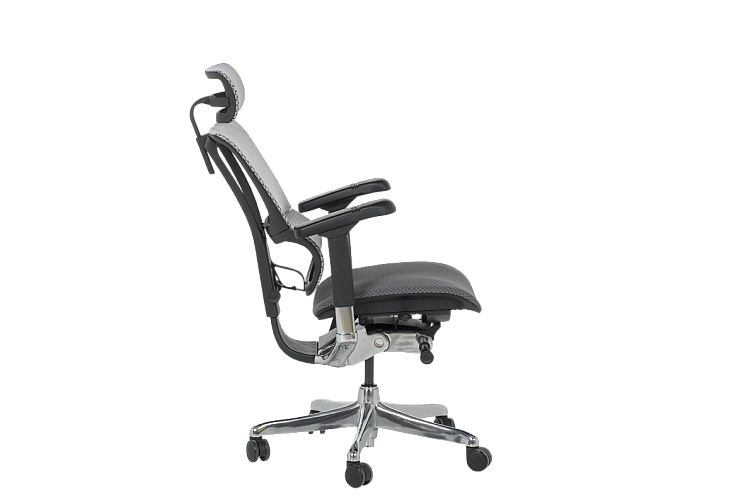 Ергономичен стол ERGOHUMAN IOO ELITE 2 - черна рамка - сив