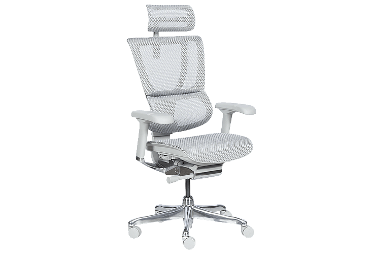 Ергономичен стол ERGOHUMAN IOO ELITE 2 - сива рамка - сив