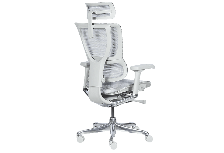 Ергономичен стол ERGOHUMAN IOO ELITE 2 - сива рамка - сив