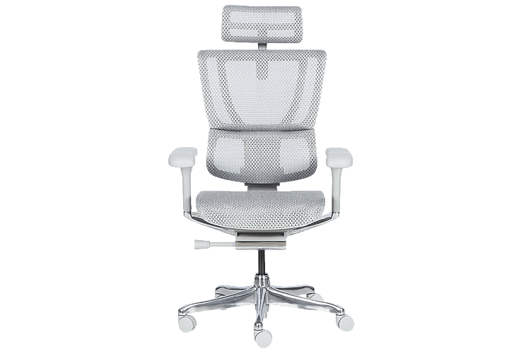 Ергономичен стол ERGOHUMAN IOO ELITE 2 - сива рамка - сив