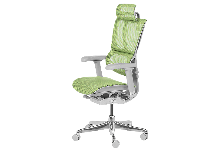 Ергономичен стол ERGOHUMAN IOO ELITE 2 - сива рамка - зелен