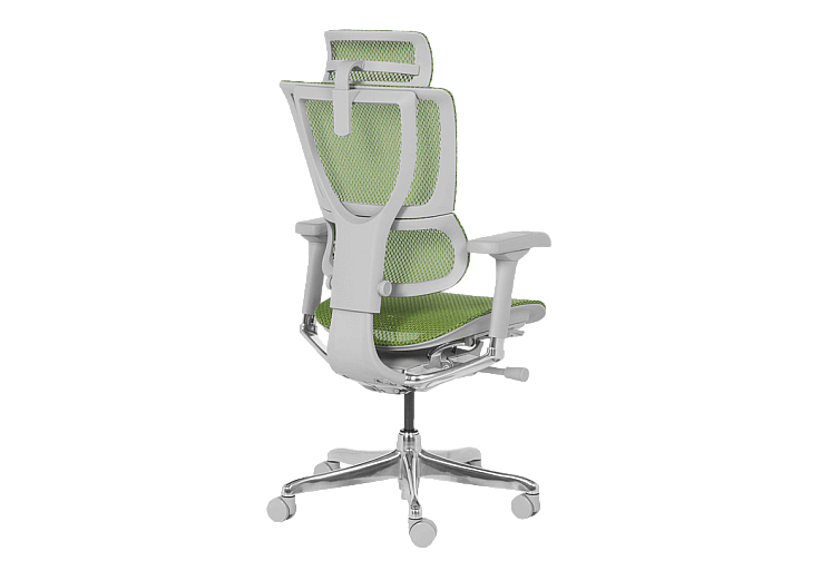 Ергономичен стол ERGOHUMAN IOO ELITE 2 - сива рамка - зелен