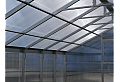 Оранжерия Primaterra DOMIKA 3x10х2,4 м ПК-4 мм