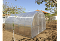 Оранжерия Primaterra PLUS 3х8х2,1 м ПК-4 мм
